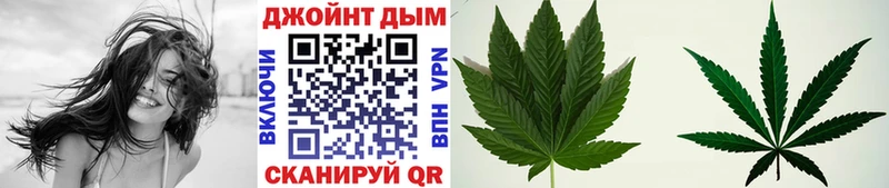 купить наркотики цена  Гремячинск  Бошки марихуана Amnesia 